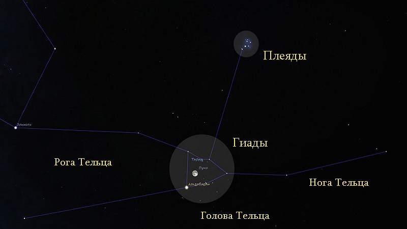 Иади