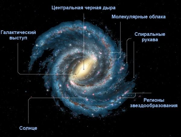 Строение Млечного Пути: вид сверху