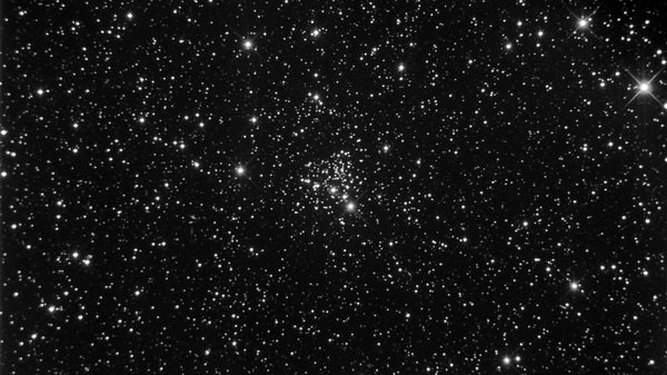рассеянное скопление NGC 2266 в созвездии Близнецов