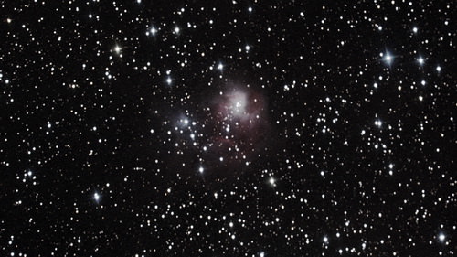 звездное скопление с туманностью NGC 1931