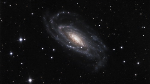 спиральная галактика NGC 5033
