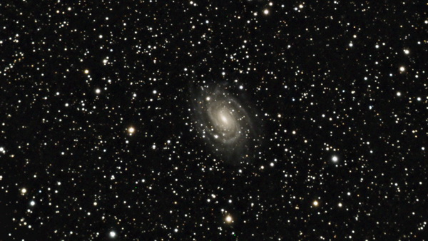 NGC 6384