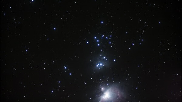 Открытое звездное скопление NGC 1981