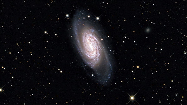 Спиральная галактика NGC 2903 в созвездии Льва