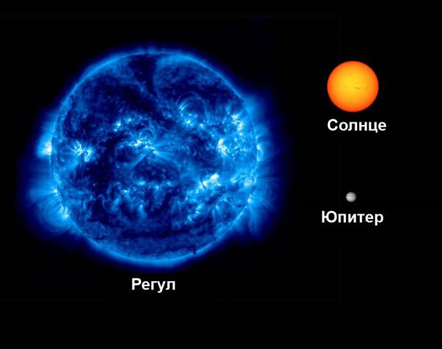 Звездный Регулус в сравнении