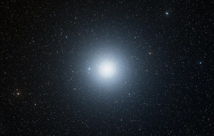 Енот (малая собака α)