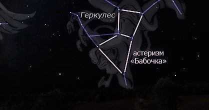 Бабочка астеризм