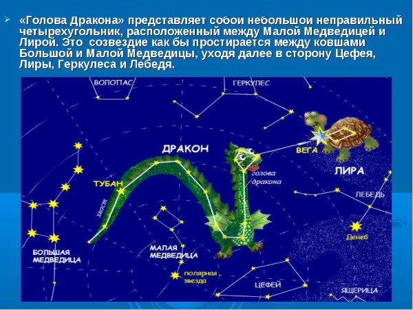 Ночное небо. Фотографии со звездами, в городе, лесу, горах. Красивые снимки из разных уголков планеты