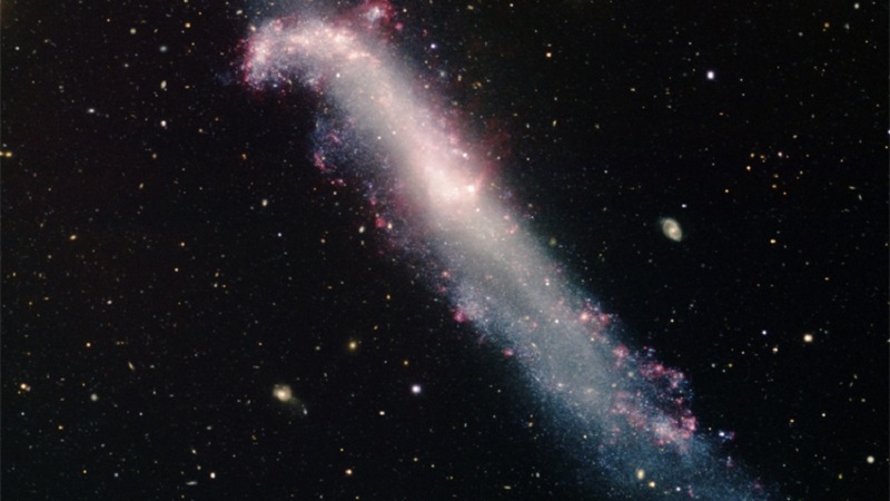 NGC 4656
