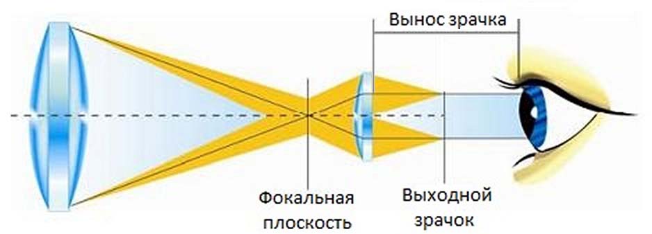 Выход-зрачок-выход для глаз-ru