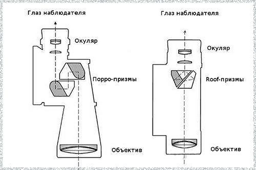 выбор-бинокля-10