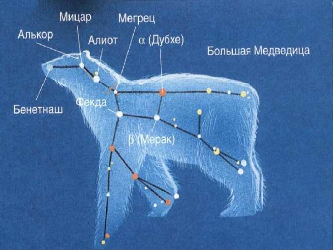 Большая Медведица